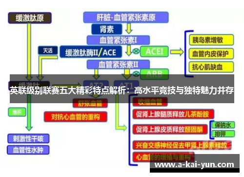英联级别联赛五大精彩特点解析:高水平竞技与独特魅力并存 英联级别联赛五大精彩特点解析:高水平竞技与独特魅力并存