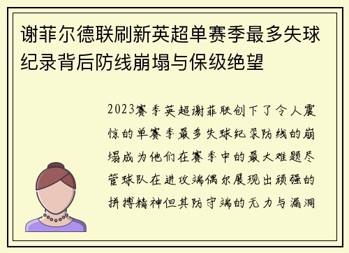 谢菲尔德联刷新英超单赛季最多失球纪录背后防线崩塌与保级绝望 谢菲尔德联刷新英超单赛季最多失球纪录背后防线崩塌与保级绝望